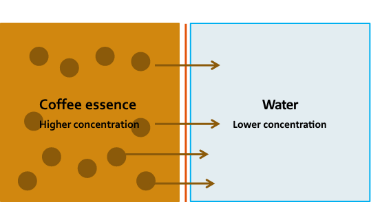 Coffee membrane