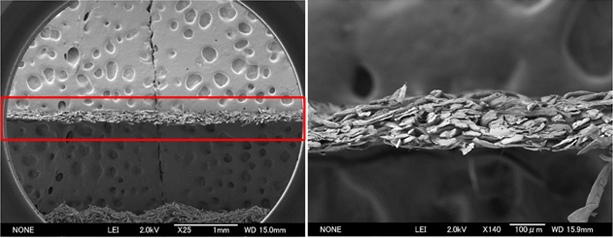 Electronic Microscope