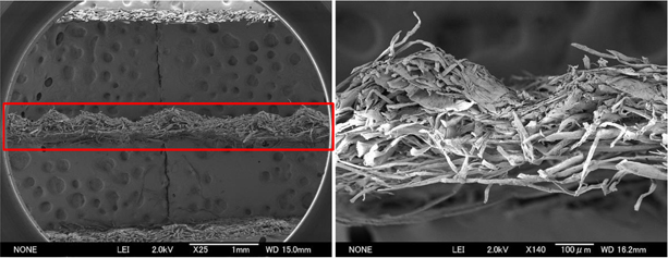 Electronic Microscope