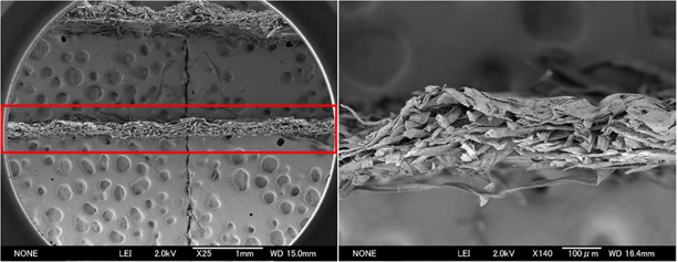 Electronic Microscope